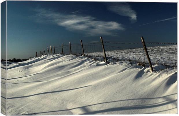 Snow on the South Downs Canvas Print by Malcolm McHugh