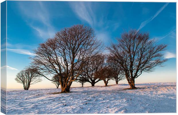 Hill Fort Winter Canvas Print by Malcolm McHugh