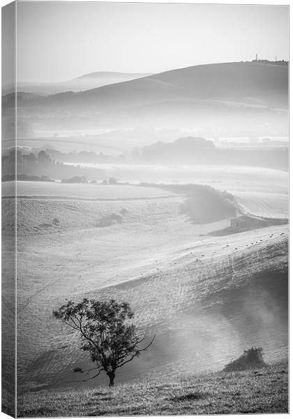 Adur Valley Mist Canvas Print by Malcolm McHugh