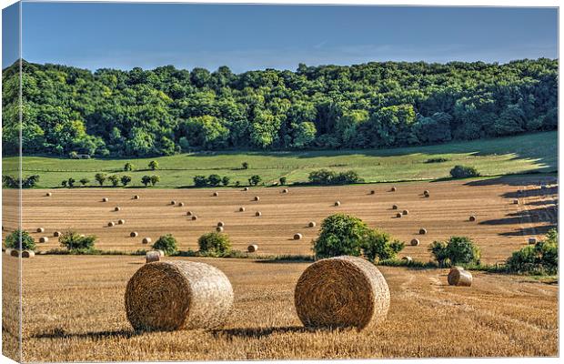 After the Harvest Canvas Print by Malcolm McHugh
