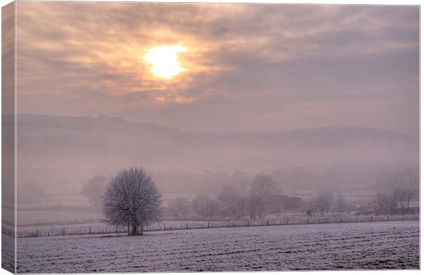 South Downs Hoar Frost Canvas Print by Malcolm McHugh
