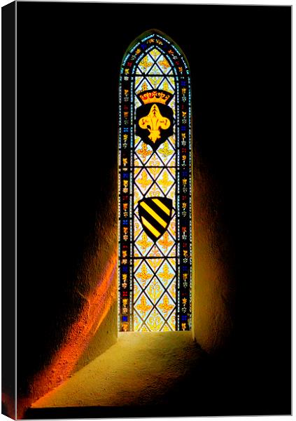 Divine Light Canvas Print by Malcolm McHugh