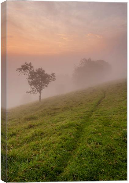 Disappearing Line  Canvas Print by Malcolm McHugh
