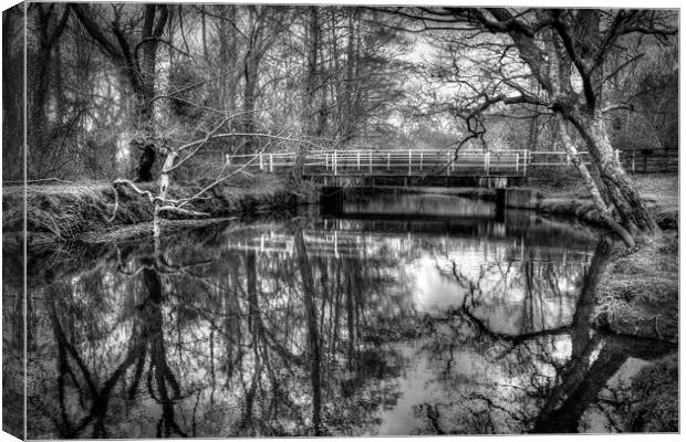 Forest Reflections Canvas Print by Malcolm McHugh