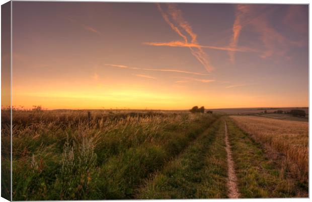 Dusk over the South Downs Way Canvas Print by Malcolm McHugh