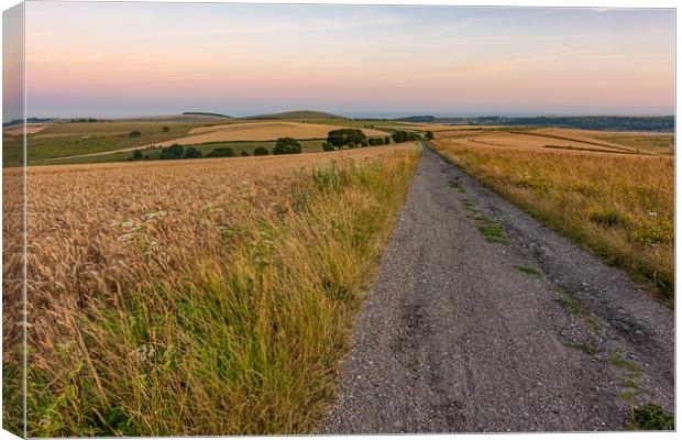 South Downs Way after sunset Canvas Print by Malcolm McHugh
