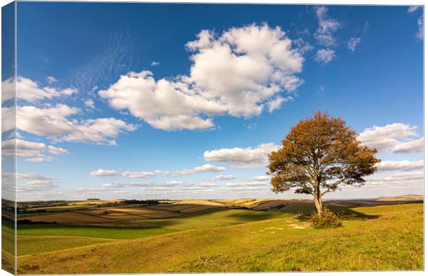 Autumn Hues Canvas Print by Malcolm McHugh