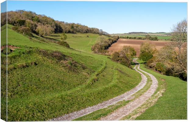 Lychpole Hill - South Downs National Park Canvas Print by Malcolm McHugh