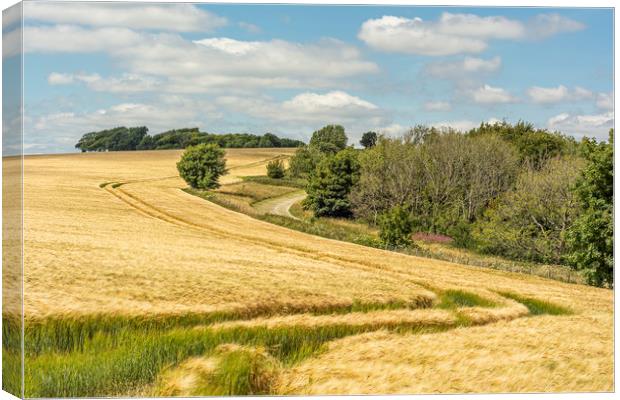 Chanctonbury Lines Canvas Print by Malcolm McHugh