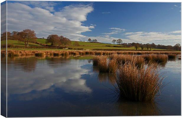  Watery landscape Canvas Print by Stephen Prosser