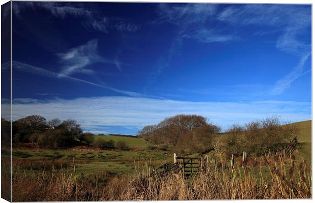 Azure blue skies over sheep grazing land Canvas Print by Stephen Prosser