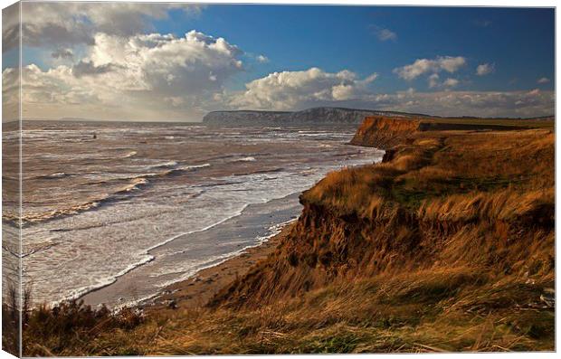  Windy shores Canvas Print by Stephen Prosser