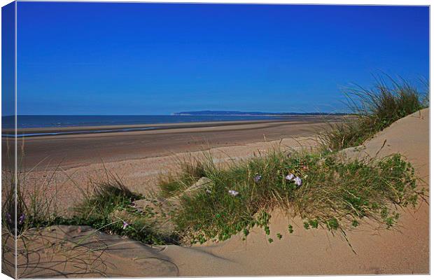  LIfe's a beach! Canvas Print by Stephen Prosser