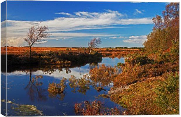  Heath and Mire. Canvas Print by Stephen Prosser