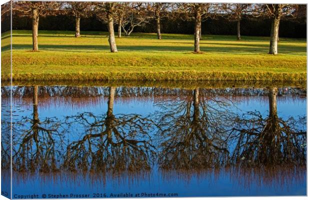 Topsy turvey trees Canvas Print by Stephen Prosser