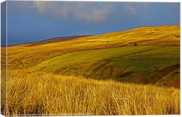 Hills of gold Canvas Print by Stephen Prosser
