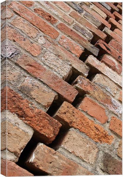 Another Brick in the Wall Canvas Print by Sharon Sims