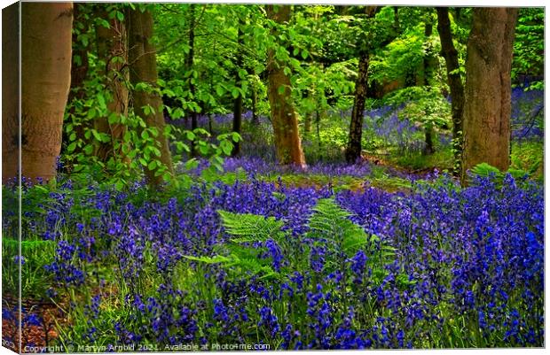 Deep in the Bluebell Wood Canvas Print by Martyn Arnold