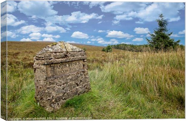 Blakehope Nick, Kielder Forest, Northumberland Canvas Print by Martyn Arnold