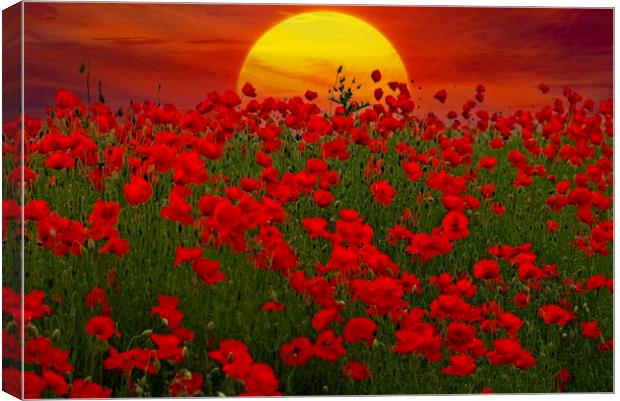 At the Going Down of the Sun - Sunset Poppy Field  Canvas Print by Martyn Arnold