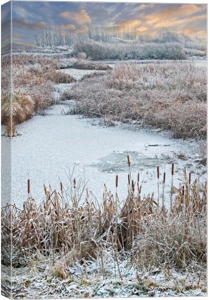 Winter Scene at Rutland Water Canvas Print by Martyn Arnold