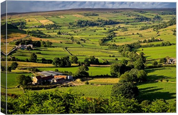 Yorkshire Moors Landscape Canvas Print by Martyn Arnold