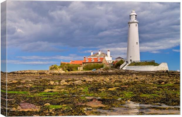 Low Tide at St. Mary's Island, Whitley Bay Canvas Print by Martyn Arnold