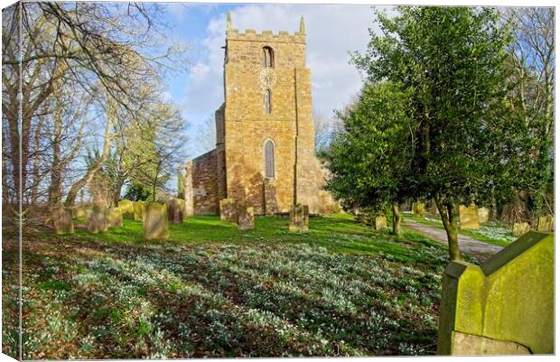 Churchyard Spring Snowdrops Canvas Print by Martyn Arnold