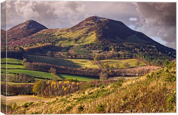 Eildon Hills from Scott's View near Melrose Canvas Print by Martyn Arnold