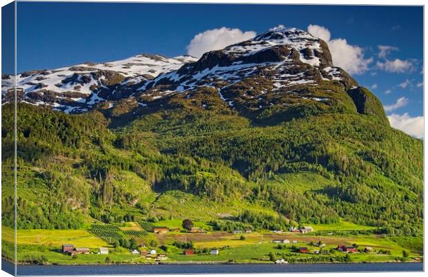 Farming Village in Nordfjord Norway Canvas Print by Martyn Arnold