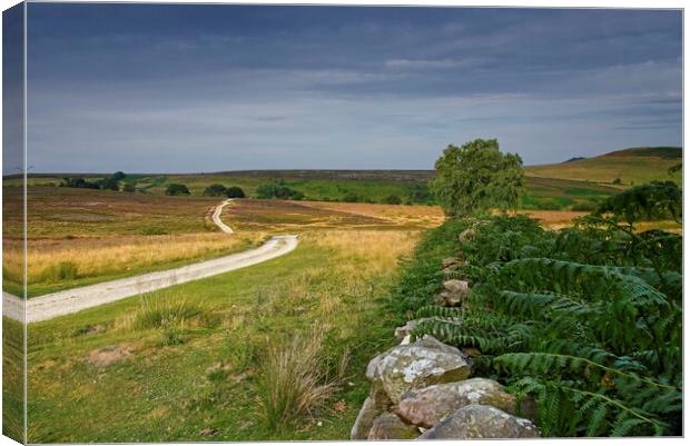 North York Moors Landscape Canvas Print by Martyn Arnold