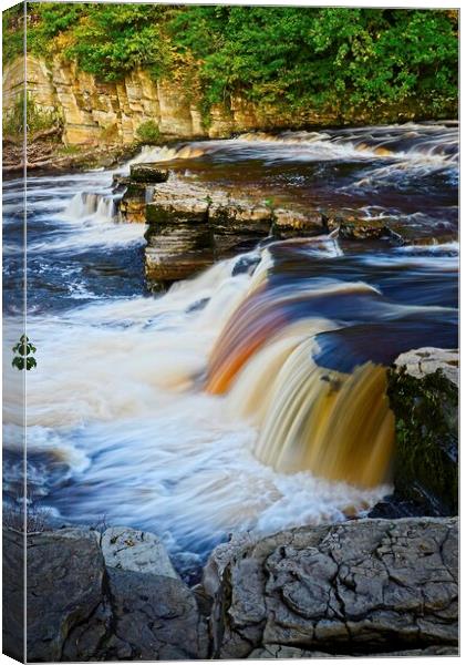 River Swale Falls at Richmond North Yorkshire Canvas Print by Martyn Arnold