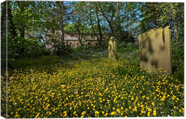 Churchyard Wildflowers and Buttercups Canvas Print by Martyn Arnold