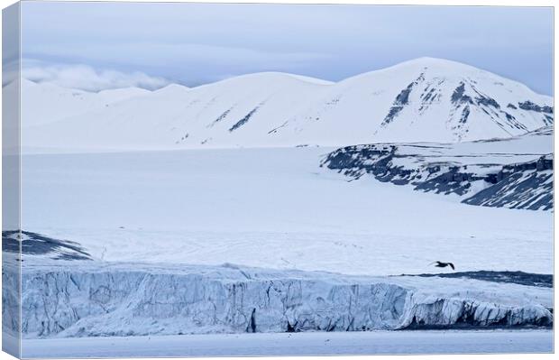 Tunabreen Glacier from Tempelfjorden on Svalbard Canvas Print by Martyn Arnold