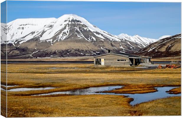 Splendid Isolation on Arctic Svalbard Canvas Print by Martyn Arnold