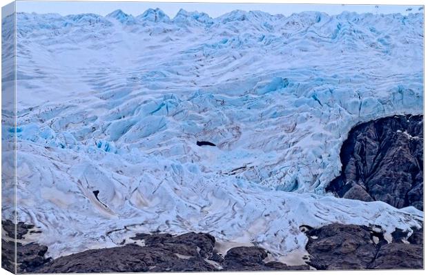 At the Glacier's Edge - Arctic Svalbard Canvas Print by Martyn Arnold