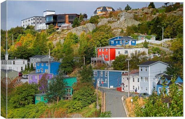 Colourful Houses, St. John's Newfoundland Canvas Print by Martyn Arnold