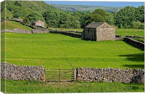 Grassington Stone Barns - Yorkshire Dales Canvas Print by Martyn Arnold