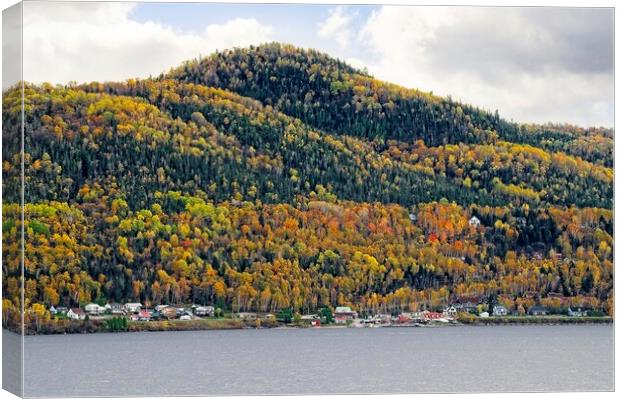 Autumn Colours in Saguenay Fjord Canada Canvas Print by Martyn Arnold