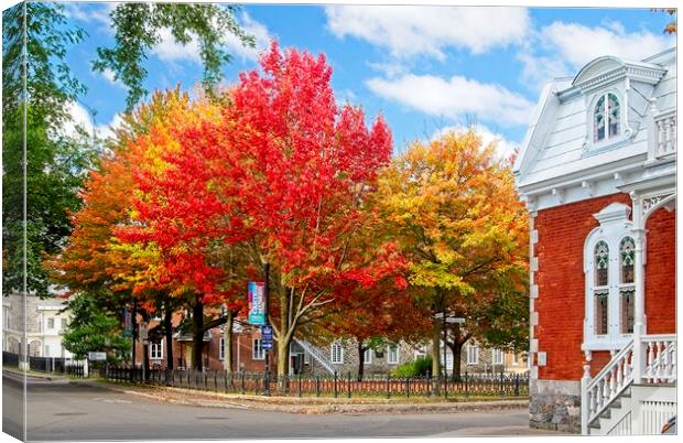 Canada in the Fall Canvas Print by Martyn Arnold