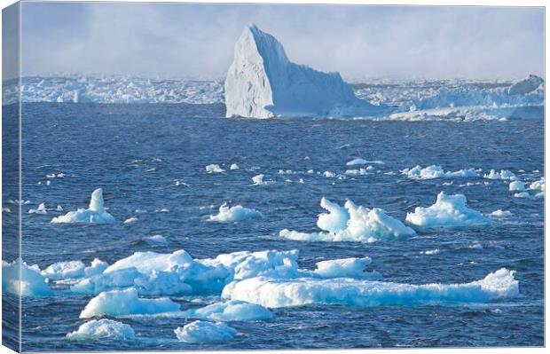 Arctic Icebergs in the Labrador Sea Canvas Print by Martyn Arnold