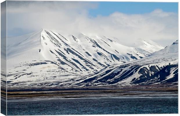 Arctic Landscape Canvas Print by Martyn Arnold