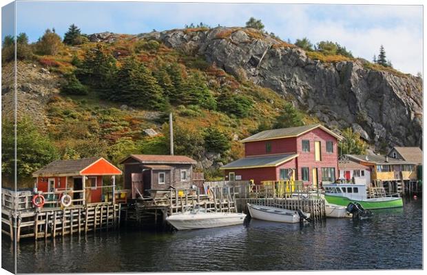 Quidi Vidi Harbour Newfoundland Canvas Print by Martyn Arnold