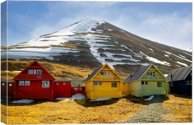 Summer in Arctic Svalbard Canvas Print by Martyn Arnold