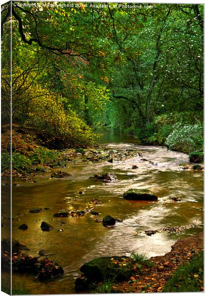 Woodland Stream in Autumn Canvas Print by Martyn Arnold