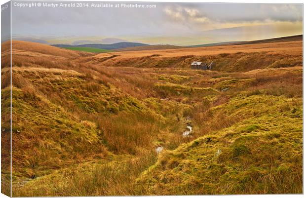 Majestic Winter Moorland Canvas Print by Martyn Arnold