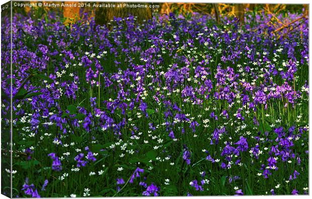 Bluebell Heaven Canvas Print by Martyn Arnold
