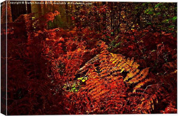 Autumn Woodland Sunset Canvas Print by Martyn Arnold