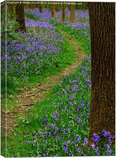 Bluebell Wood in Northamptonshire Canvas Print by Martyn Arnold