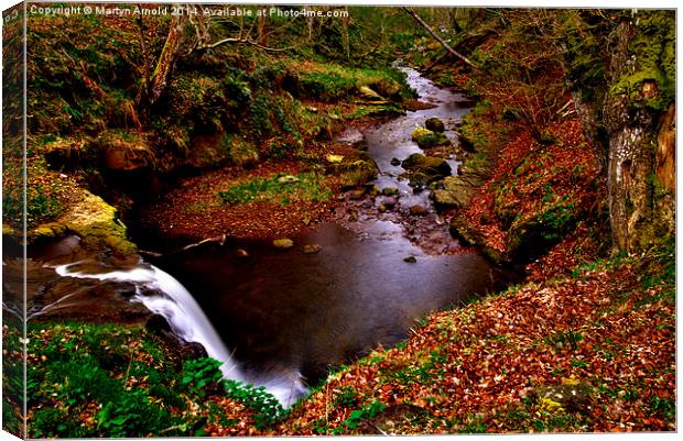 Blow Gill North York Moors Canvas Print by Martyn Arnold
